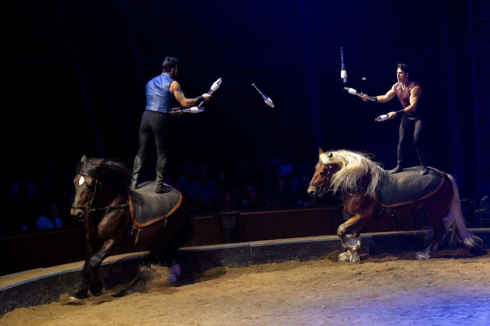 Les Folies Gruss à Paris